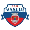 CSSM Vaslui logo