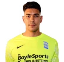 Neil Etheridge logo