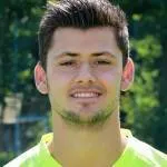 Michael Netolitzky logo