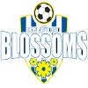 San Antonio Blossoms (w) logo