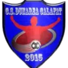 CS Dunarea Calafat logo