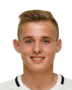 Denys Nahnoinyi logo