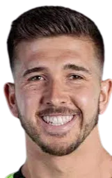 andrew pannenberg logo