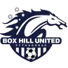 Box Hill United U20 logo
