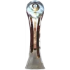 Portuguese league cup winner logo
