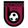 Burwood AFC logo