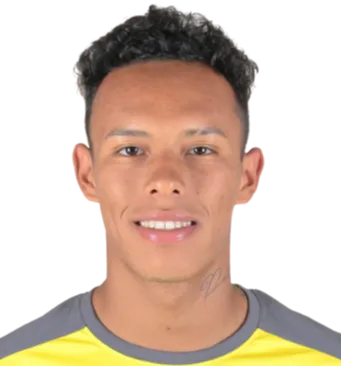 Leonardo Mifflin logo