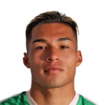 Sebastian Tomas·Meza logo