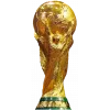 World Cup winner logo