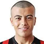 Mehmet Feyzi Yildirim logo