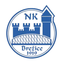 NK Brezice U19 logo