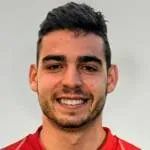 Werther Carboni logo