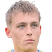 Valdemar Schmolker logo