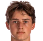 vladimir malyshev logo