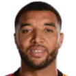 Troy Deeney logo