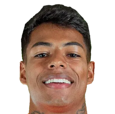 James Santos das Neves logo