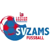 Zams logo