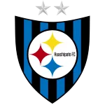 Huachipato U20 logo
