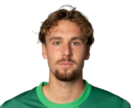 Nikolaj Möller logo