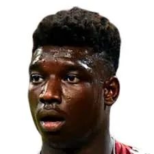 Michel Ndary Adopo logo