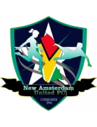 New Amsterdam logo
