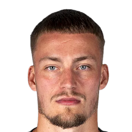 Davy Van Den Berg logo