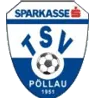 TSV Sparkasse Pollau logo
