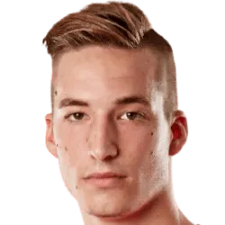 Miroslav Iličić logo