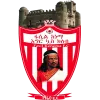 Fasil Kenema logo