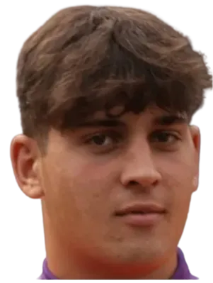 Tommaso Vannucchi logo