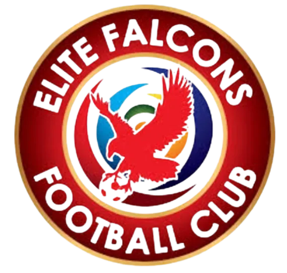 Elite Falcons FC logo