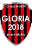 Gloria 2018 Bistrita Nasaud Women logo
