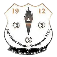 Springs Home Sweepers FC Women logo