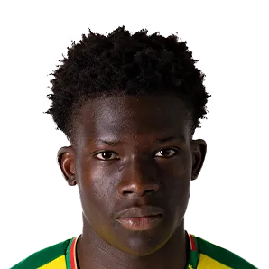 Vladimir Henrique Silva logo