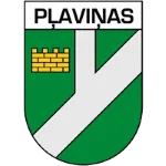 Plavinas DM logo