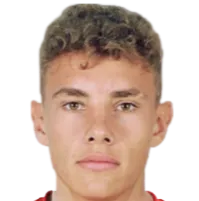 Stanislav Biblyk logo