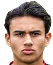 Nathan Tjoe-A-On logo