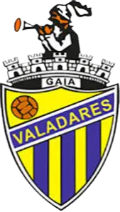 Valadares Gaia FC U19 logo