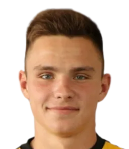 Denys Ustymenko logo