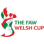 Welsh Cup photo 